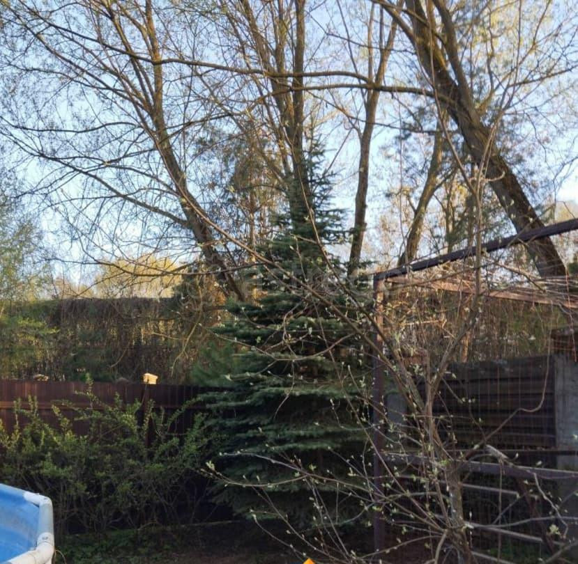 Земельный участок, 6 соток Химки - изображение 5