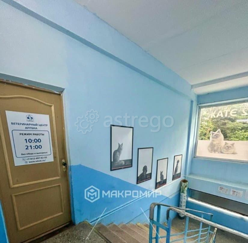 Свободного назначения, 143.9 м2 Санкт-Петербург - изображение 2