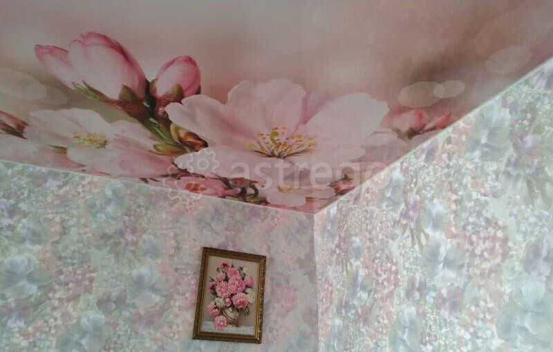 3-комн. квартира, 59.8 м2, 9/9 эт. Барнаул - изображение 4