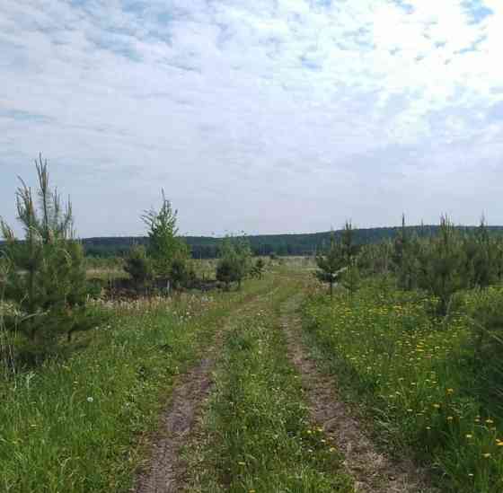 Земельный участок, 10 соток Емельяново
