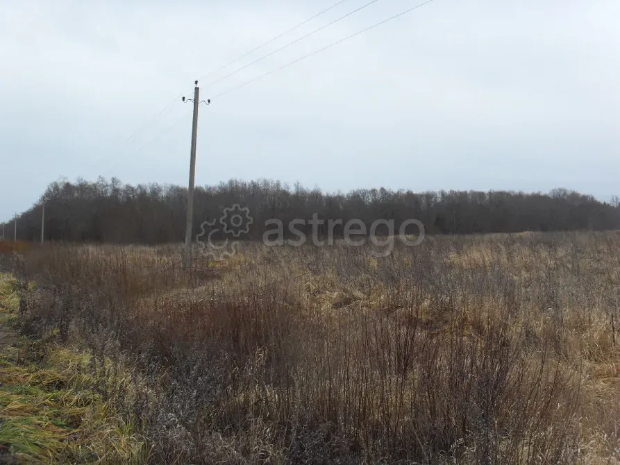 Продам Участок, Садовый, 1280 сот. Калязин - изображение 3