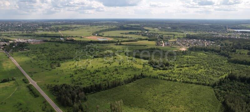 Земельный участок, 20 га Можайск - изображение 9