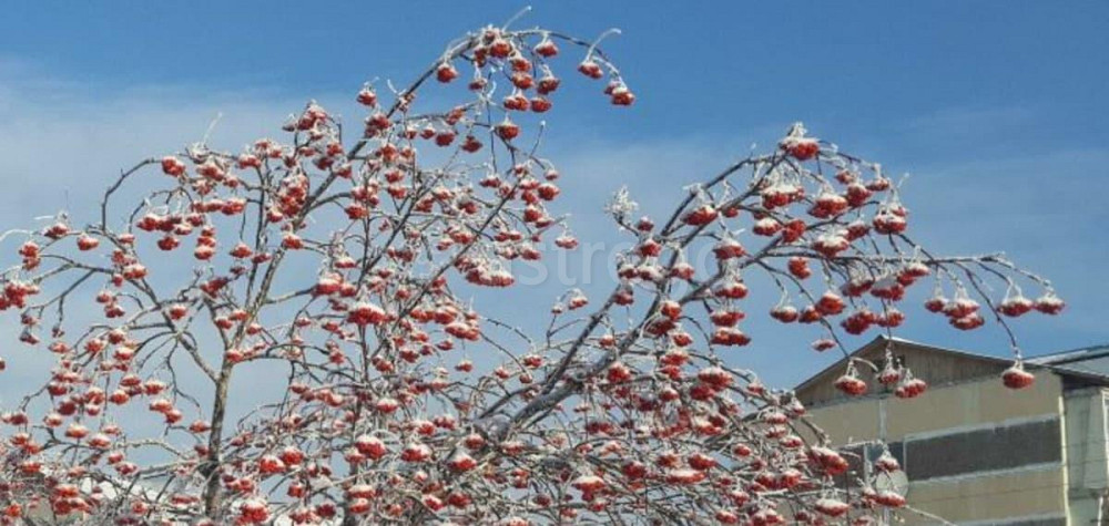 4-комн. квартира, 74.6 м2, 5/5 эт. Зея - изображение 5