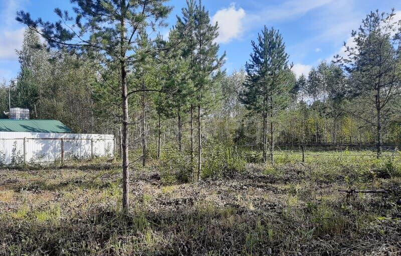 Земля под ИЖС, 8 соток Павловский Посад - изображение 10