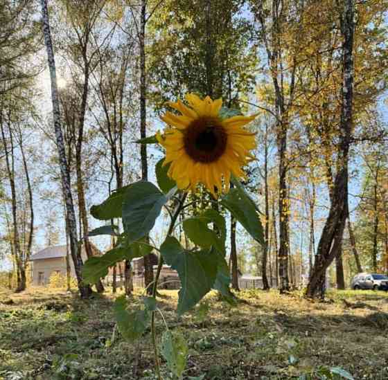 Земельный участок, 9.8 сотки Домодедово