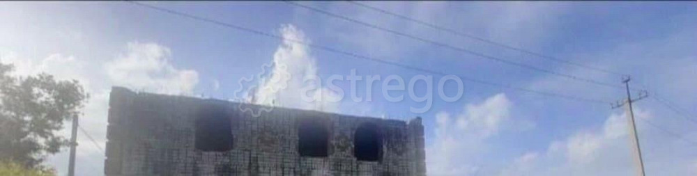 Коттедж, 320 м2, 15 соток, 2 эт. Райчихинск - изображение 2