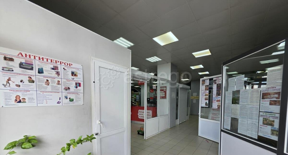 Торговое помещение, 240 м2 Волоколамск - изображение 3