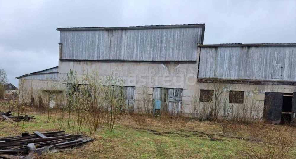 Отдельное здание, 2100 м2 Каргополь - изображение 1