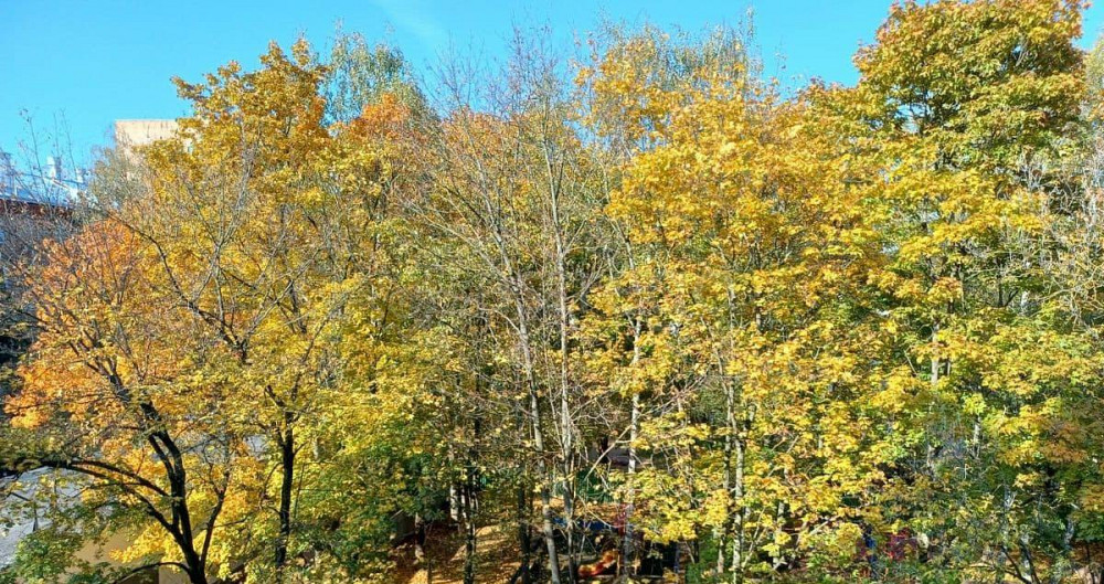 3-комн. квартира, 57 м2, 4/5 эт. Красногорск - изображение 5