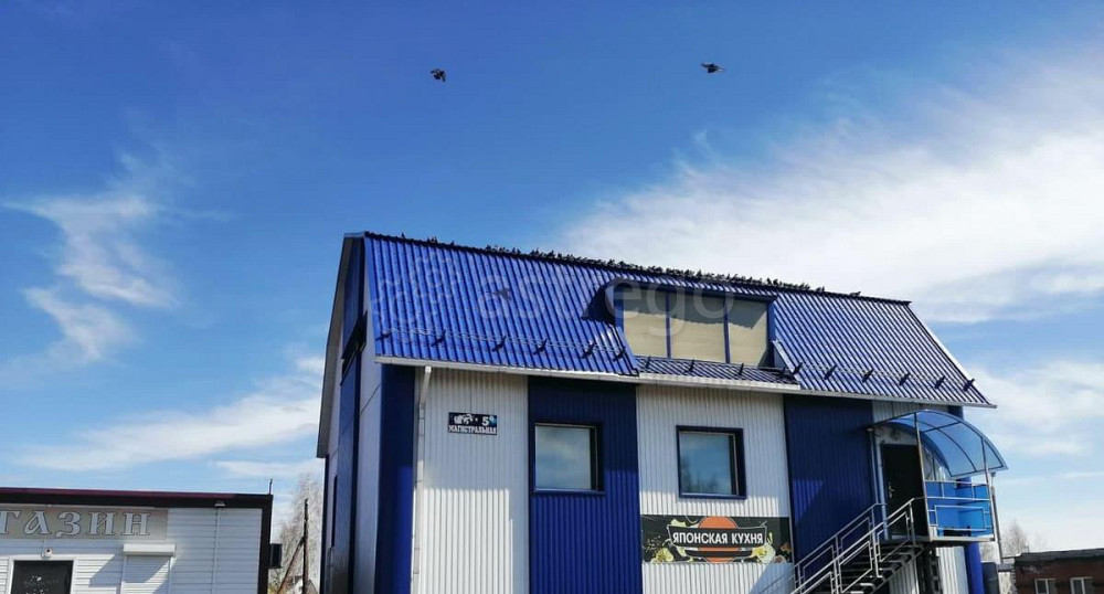 Свободного назначения, 301.7 м2 Павловск - изображение 2