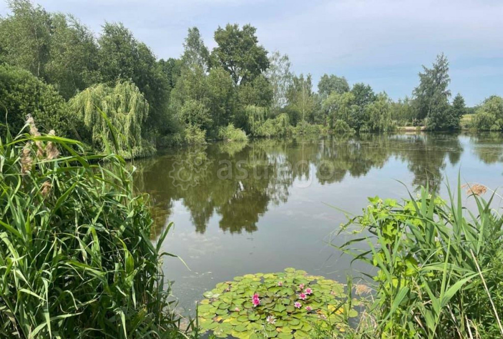 Коттедж, 194.6 м2, 6 соток, 2 эт. Балашиха - изображение 9