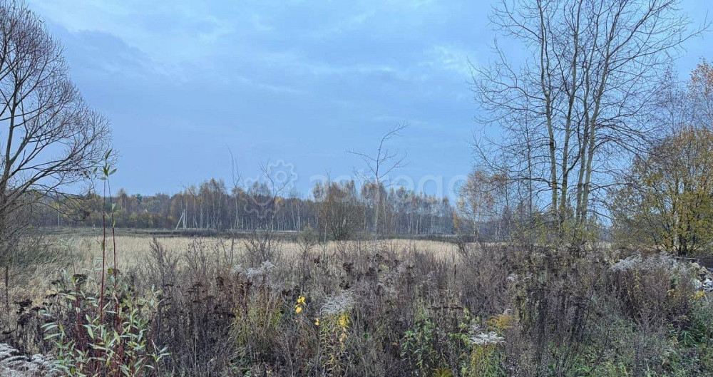 Земельный участок, 24.09 сотки Ногинск - изображение 3