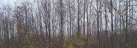 Коммерческий участок, 30 соток Дубна