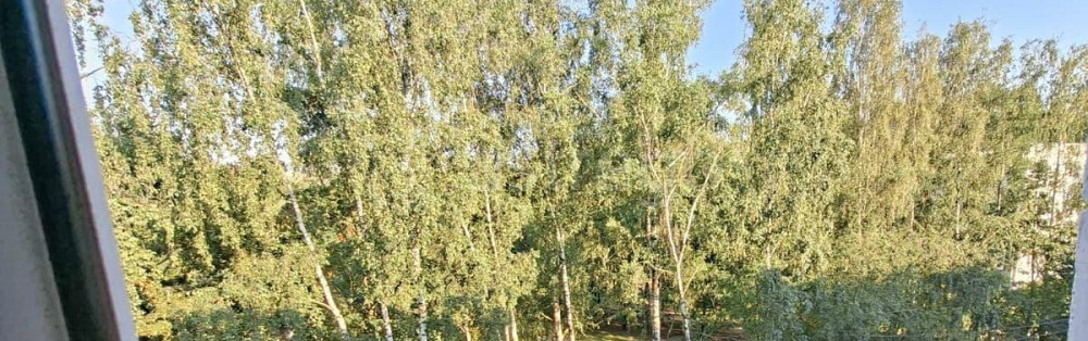 4-комн. квартира, 49 м2, 5/5 эт. Санкт-Петербург - изображение 4
