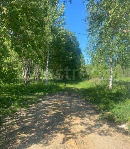 Земля под ИЖС, 15 соток Дмитров - изображение 7