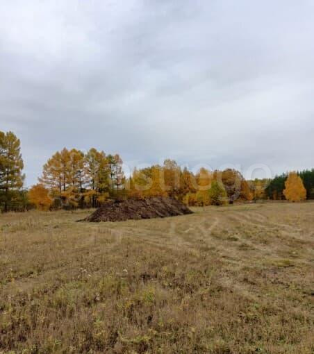 Земля с/х назначения, 12.38 га Кармаскалы - изображение 7