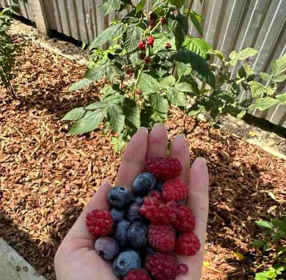 Коттедж, 413 м2, 10 соток, 2 эт. Дубна