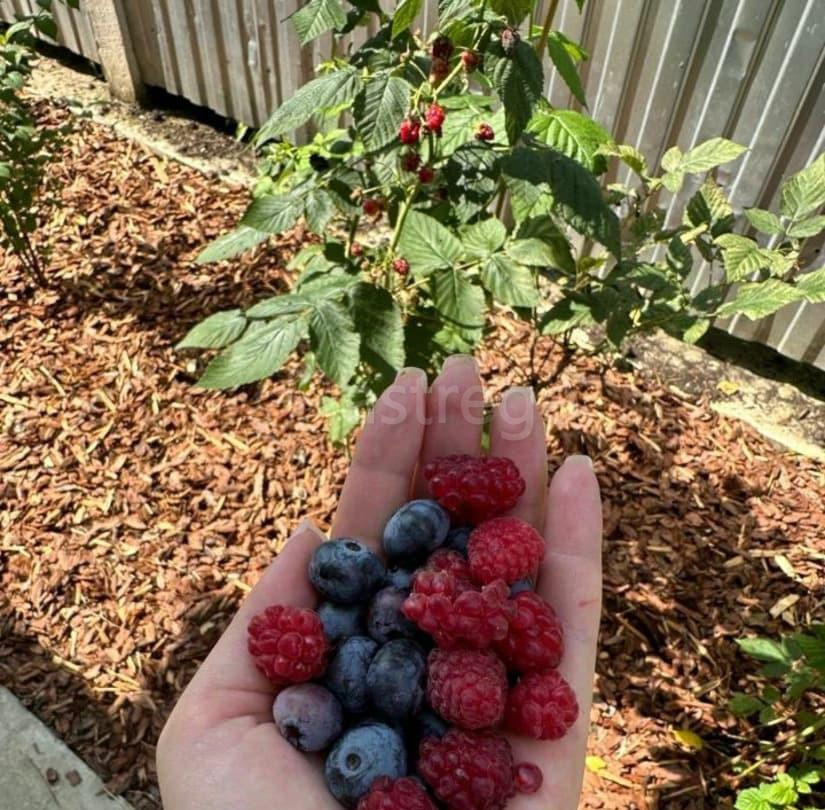 Коттедж, 413 м2, 10 соток, 2 эт. Дубна - изображение 3