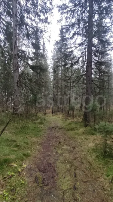 Продам Участок, Садовый, 6 сот. Томск - изображение 1