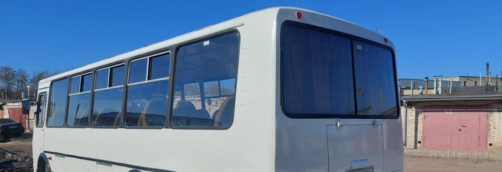 ПАЗ 423405 Воронеж - изображение 1