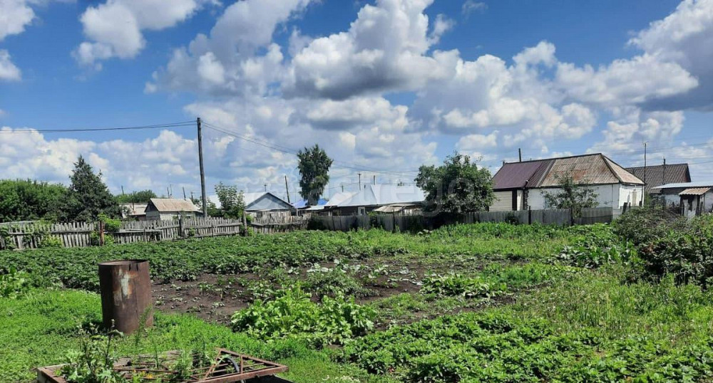 Дом, 48.7 м2, 11.4 сотки, 1 эт. Алейск - изображение 3