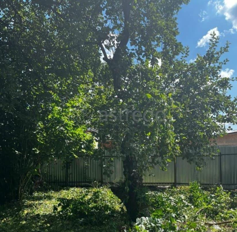 Земельный участок, 12.48 сотки Чехов - изображение 6