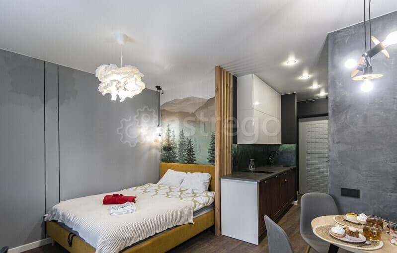 Студия, 25 м2, 9/17 эт. Королев - изображение 1