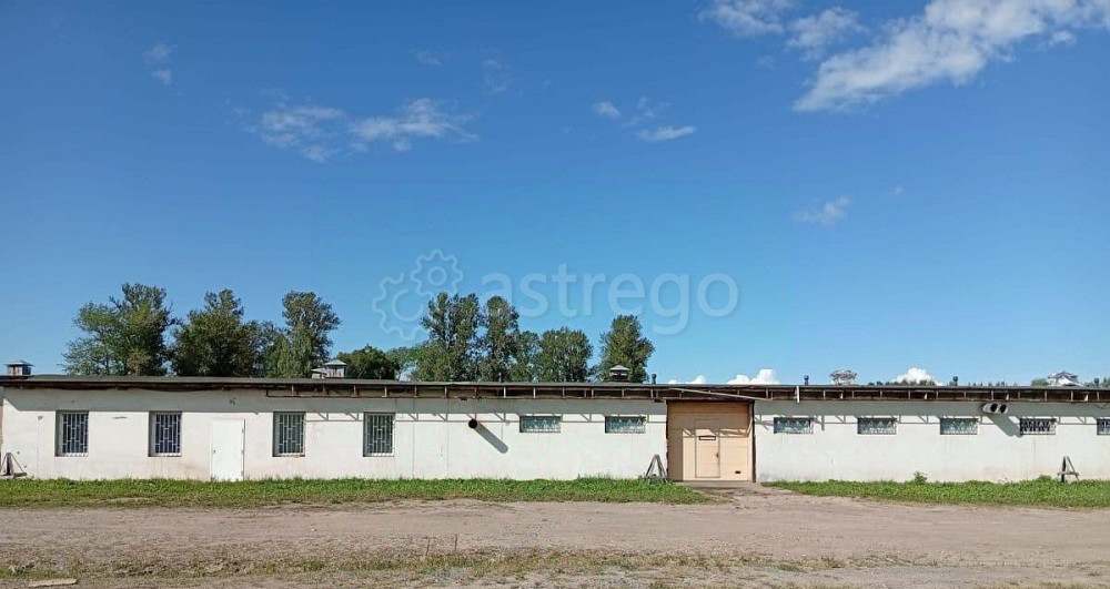 Производственное, 270 м2 Санкт-Петербург - изображение 3