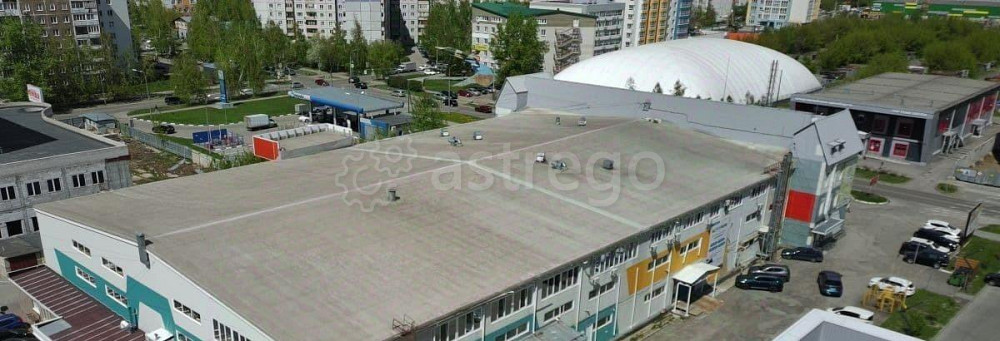 Свободного назначения, 1027 м2 Барнаул - изображение 2