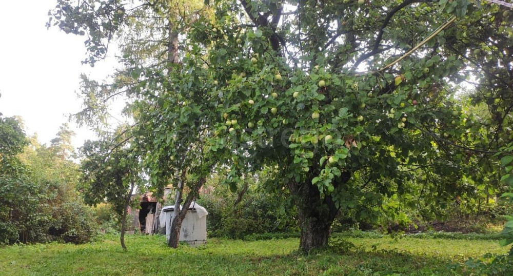 Дом, 69 м2, 14.15 сотки, 1 эт. Санкт-Петербург - изображение 5
