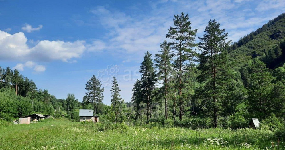 Земельный участок, 1.8 га Алтайское - изображение 7