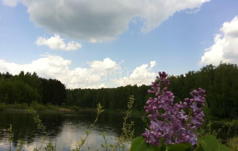 Земля под ИЖС, 8 соток Павловский Посад - изображение 7