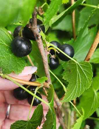 4-комн. квартира, 96 м2, 1/2 эт. Тында