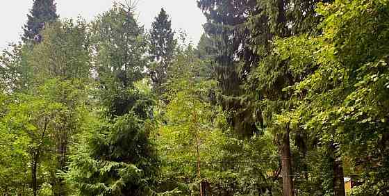 Земельный участок, 0.53 га Лобня