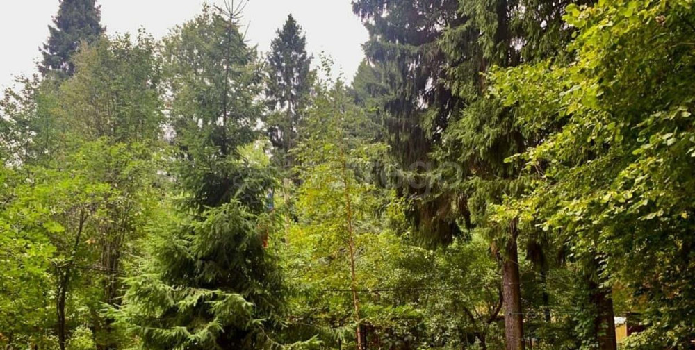 Земельный участок, 0.53 га Лобня - изображение 5