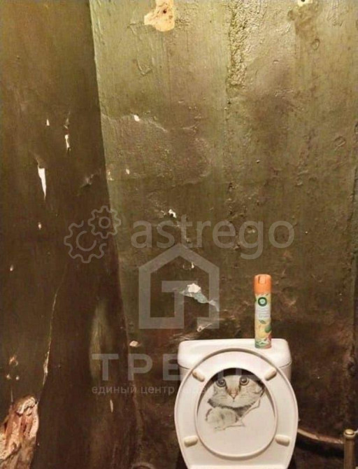 Комната, 13.2 м2, 2/5 эт. Санкт-Петербург - изображение 3