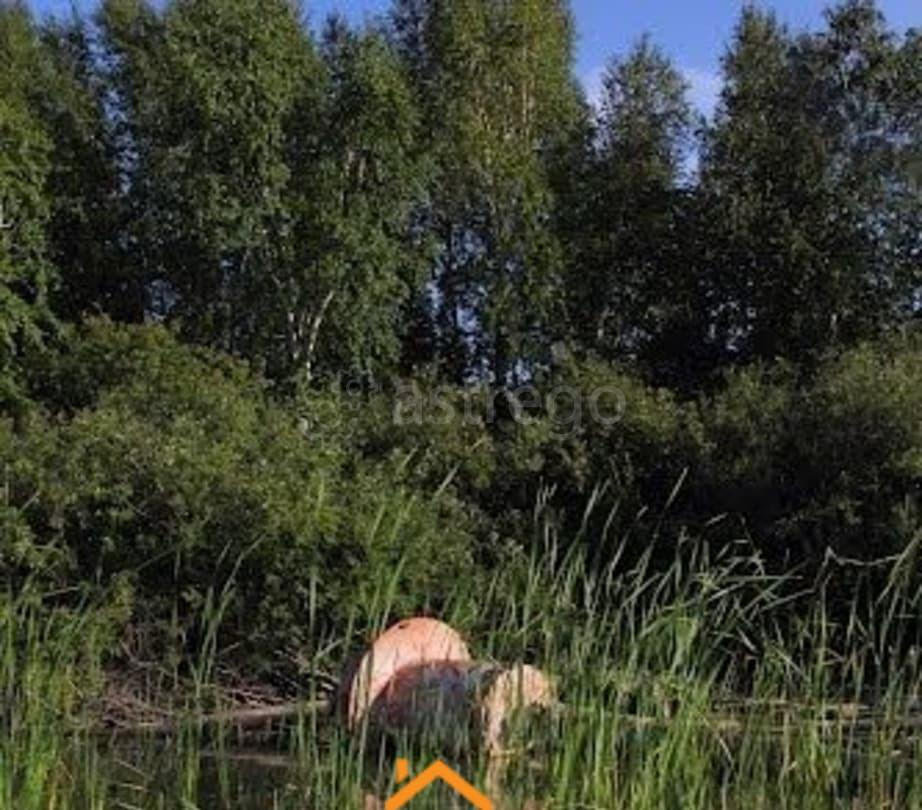 Коммерческий участок, 1.44 га Камень-на-Оби - изображение 5