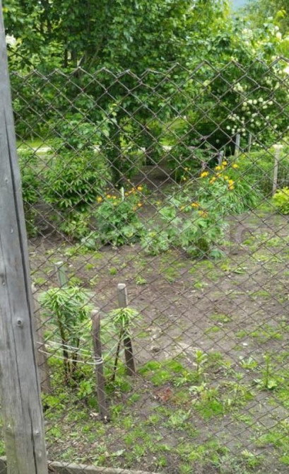 Дом, 43.2 м2, 18 соток, 1 эт. Шушенское - изображение 7