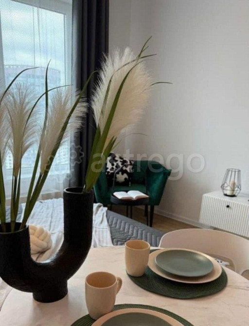 Студия, 20 м2, 25/33 эт. Москва - изображение 6
