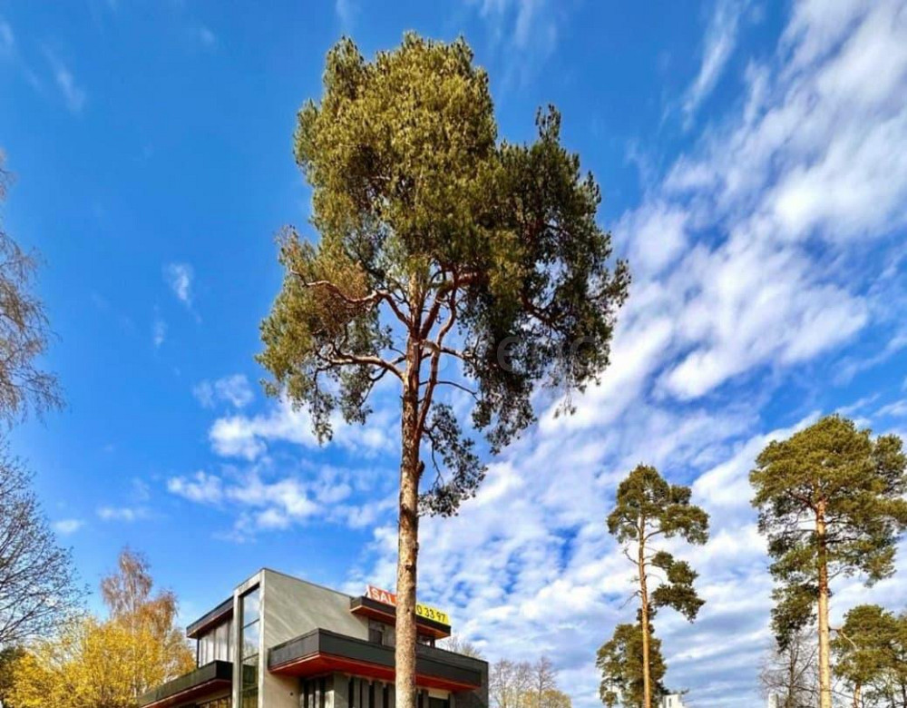 Коттедж, 483 м2, 8 соток, 3 эт. Санкт-Петербург - изображение 1