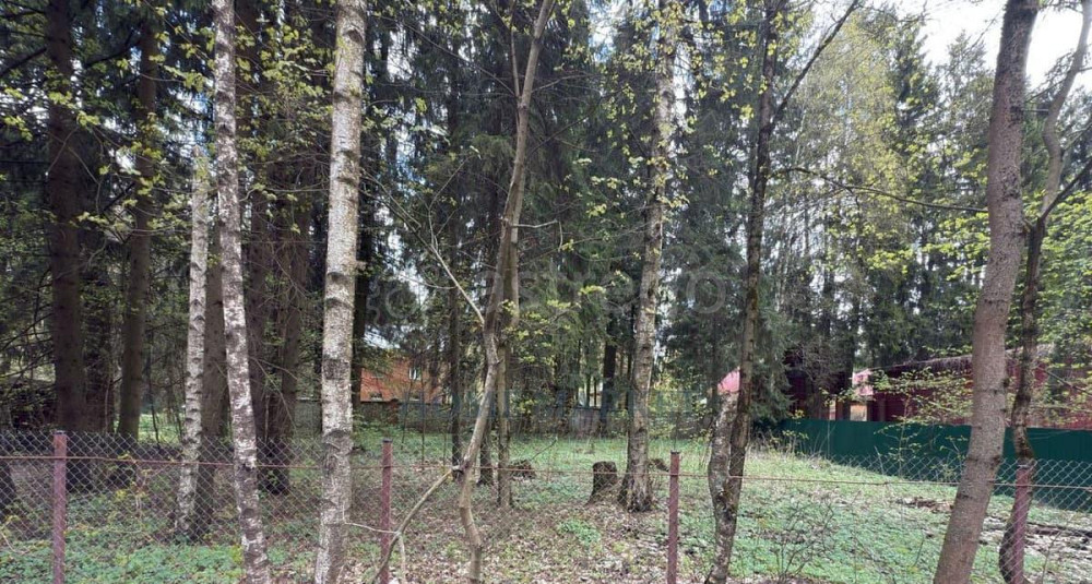 Земельный участок, 5 соток Лобня - изображение 3