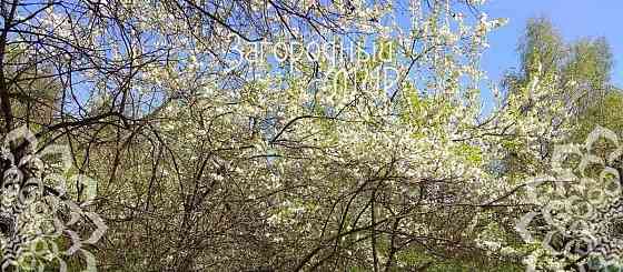 Земельный участок, 15 соток Балашиха