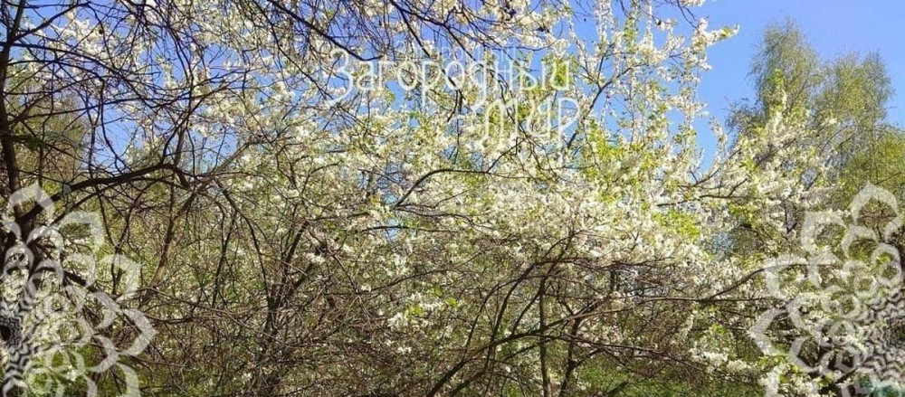 Земельный участок, 15 соток Балашиха - изображение 3