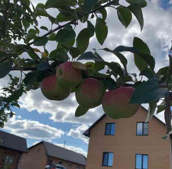 Дом, 142 м2, 15 соток, 2 эт. Емельяново