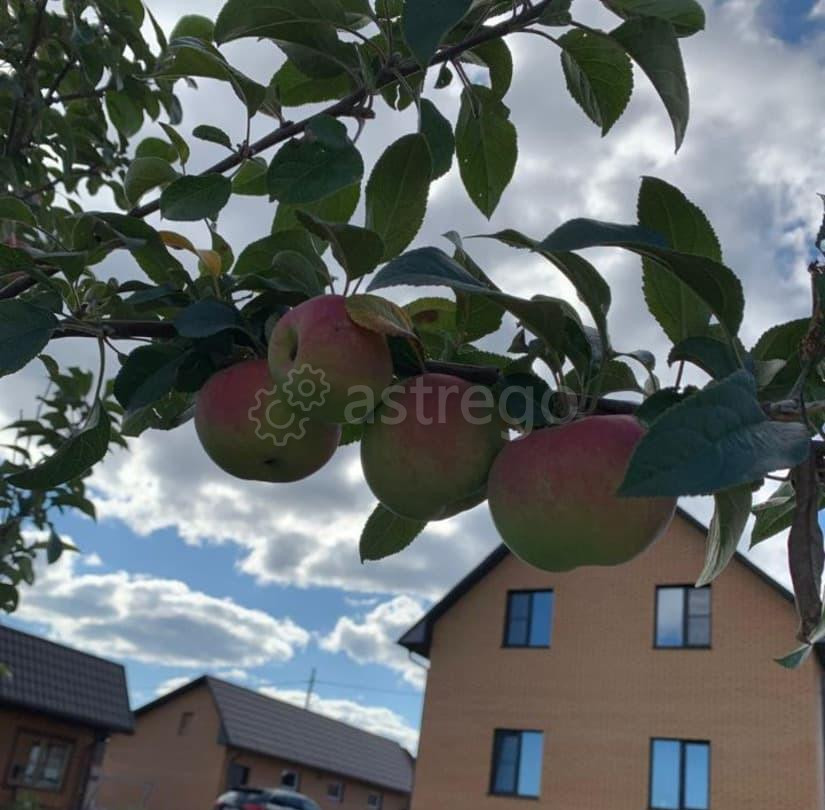 Дом, 142 м2, 15 соток, 2 эт. Емельяново - изображение 5