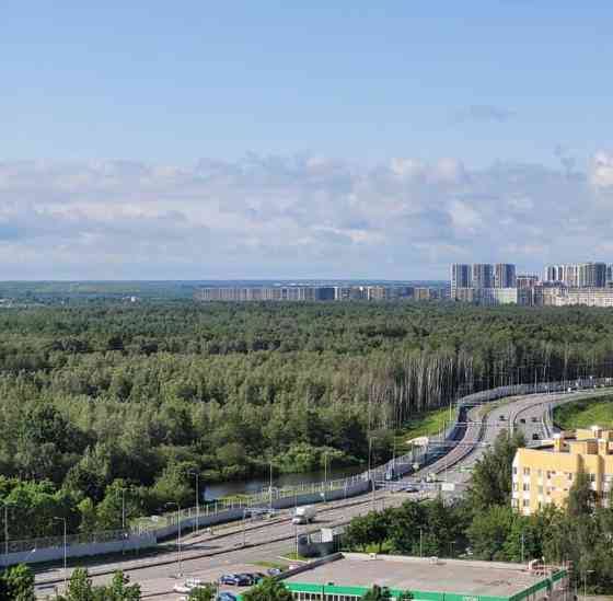 Комната, 17 м2, 17/17 эт. Санкт-Петербург