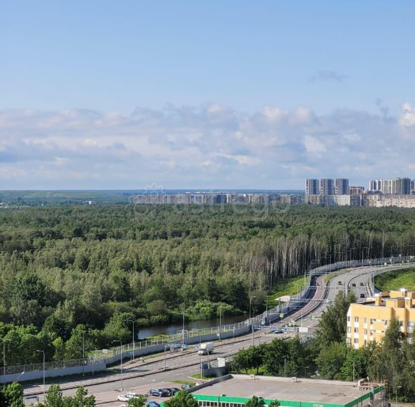 Комната, 17 м2, 17/17 эт. Санкт-Петербург - изображение 1