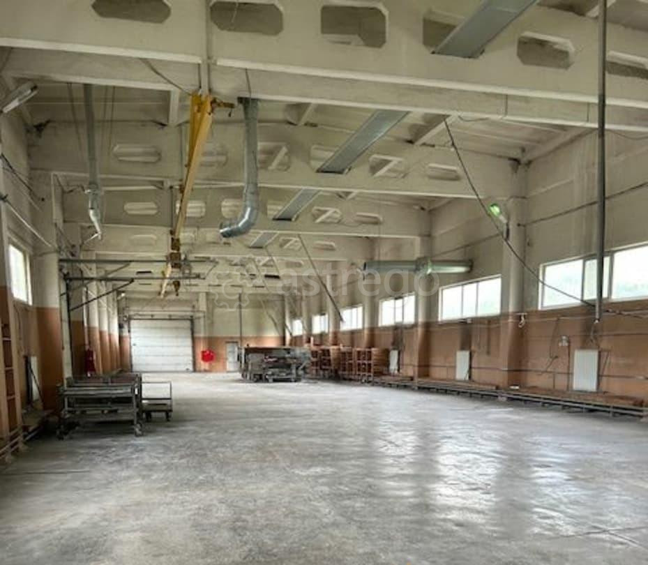 Производственное, 1044 м2 Железногорск - изображение 4