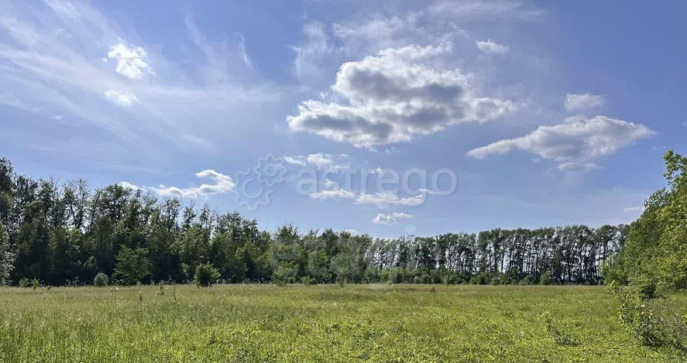 Земельный участок, 21.6 га Кармаскалы - изображение 6