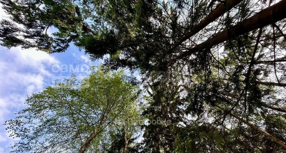 Земельный участок, 26 соток Москва - изображение 2